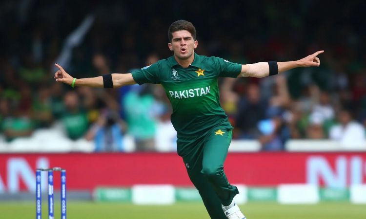 Cricket Image for Shaheen Afridi Returns While Fakhar Zaman Misses Out As Pakistan Announce Squad Fo