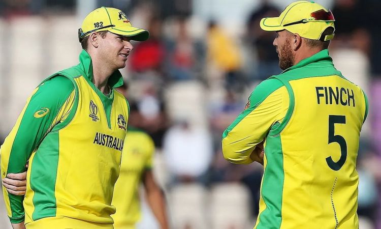 Cricket Image for Steve Smith Should Be Appointed The ODI Skipper After Me: Aaron Finch