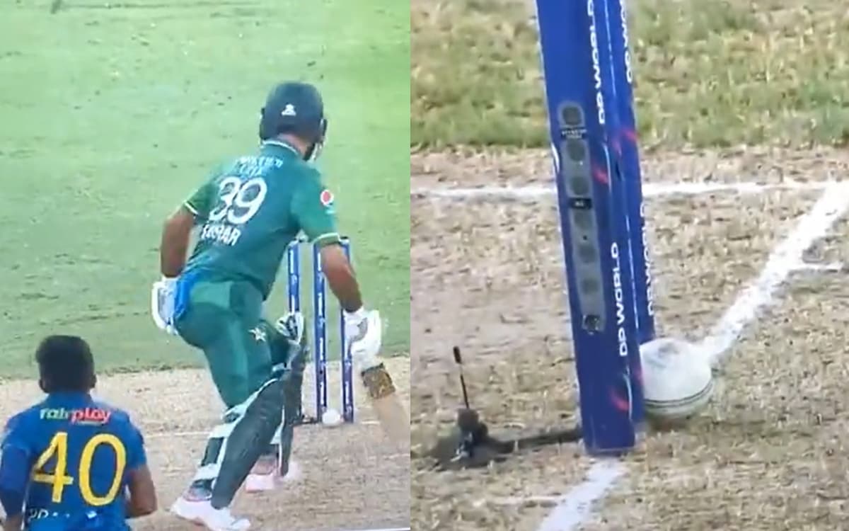 Cricket Image for Lucky फखर, विकेट पर लगी गेंद फिर भी नहीं हुए आउट; देखें VIDEO