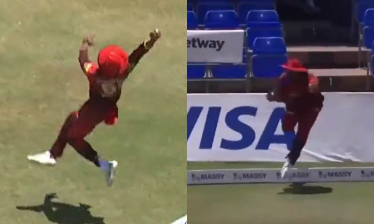 Cricket Image for बूढ़ा नहीं हुआ है शेर, 35 की उम्र में दिखा रहा है अद्भुत करतब; देखें VIDEO