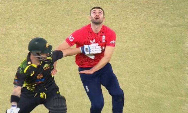 Cricket Image for Aus Vs Eng Matthew Wade Tried To Stop Mark Wood