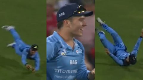 Cricket Image for Csa T20 Challenge Dewald Brevis Stunner Catch Watch Video