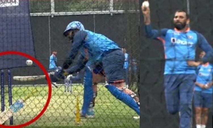 Cricket Image for T20 Wc Warm Up Match Ind Vs Australia Dinesh Karthik Clean Bowled By Mohammad Sham