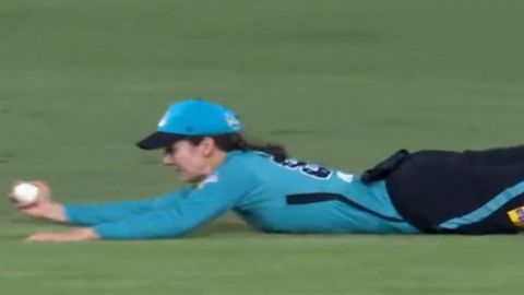 Cricket Image for Womens Big Bash League Charli Knott Brilliant Catch Reminds Ravindra Jadeja