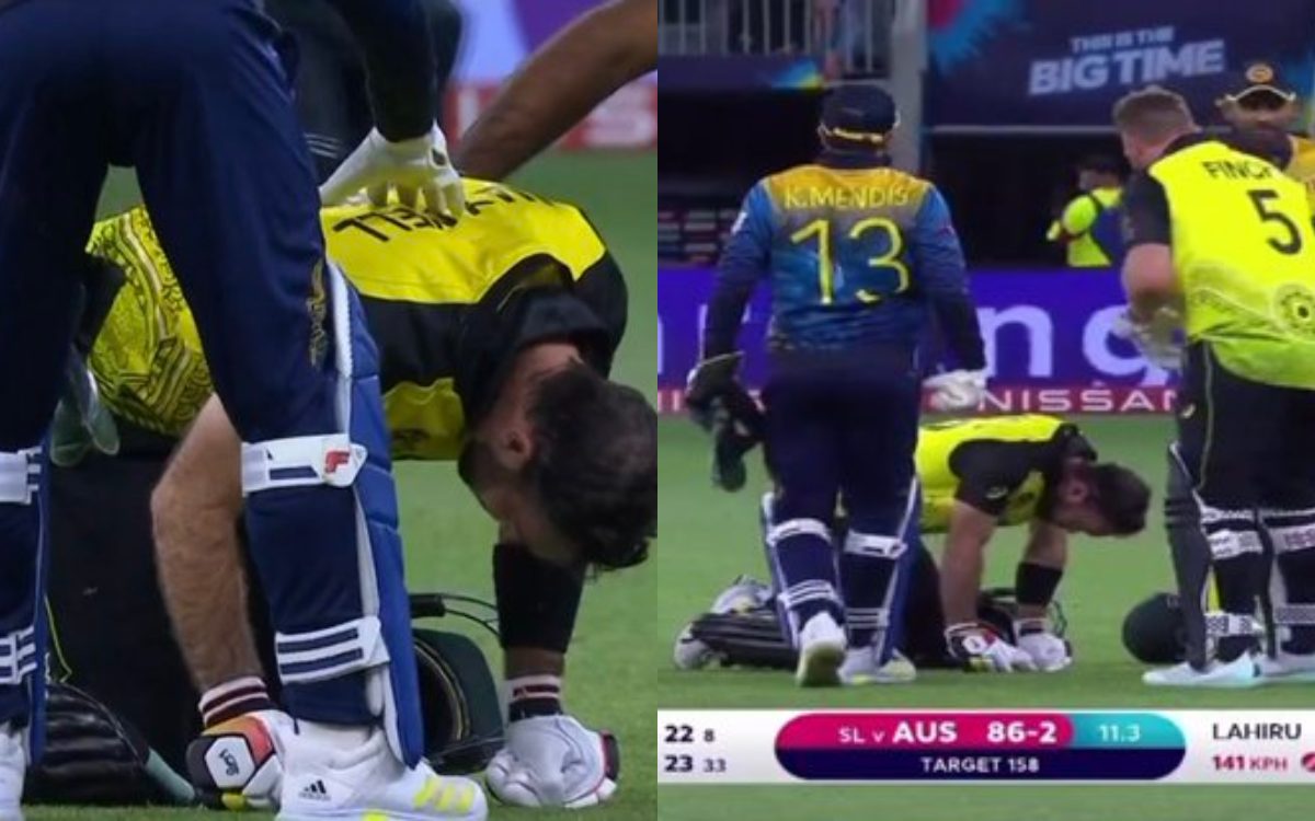 Cricket Image for VIDEO: कुमारा की पेस नहीं झेल पाए मैक्सवेल, गर्दन पर लगी गेंद तो दर्द से तड़प उठे