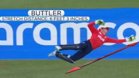 Cricket Image for T20 World Cup Jos Buttler Flying Catch Watch Video