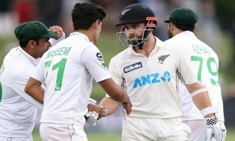 Cricket Image for New Zealand To Play Two Tests And White-Ball Series In Pakistan