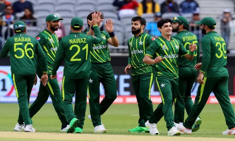 T20 World Cup: Shadab Khan's Destructive Bowling Restrict Netherlands To  91/9