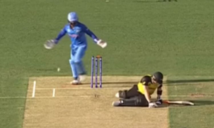Cricket Image for Live मैच में धड़ाम से गिरे स्टीव स्मिथ, चहल की फिरकी पर नाचते आए नज़र; VIDEO