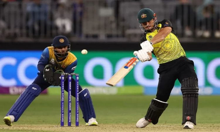 Marcus Stoinis Hits Second Fastest Fifty In T20 WC After Yuvraj Singh, Fastest For Australia