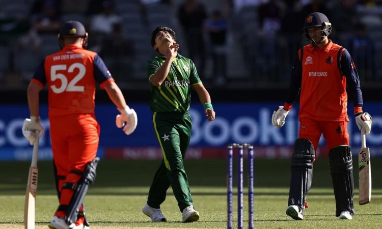 Cricket Image for T20 World Cup 2022: Pakistan Thrash Netherlands By 6 Wickets To Register First T20