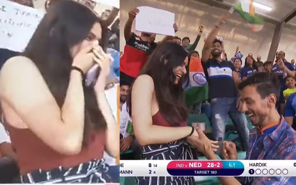 Cricket Image for Live मैच में दिखा गजब नज़ारा, फैन ने घुटने पर बैठकर किया गर्लफ्रेंड को प्रपोज; वाय