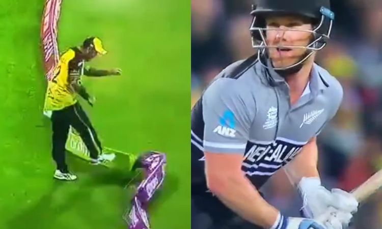 Cricket Image for नीशम के छक्के से बौखलाए मैक्सेवल, लाइव मैच में दिखाया गुस्सा; देखें VIDEO