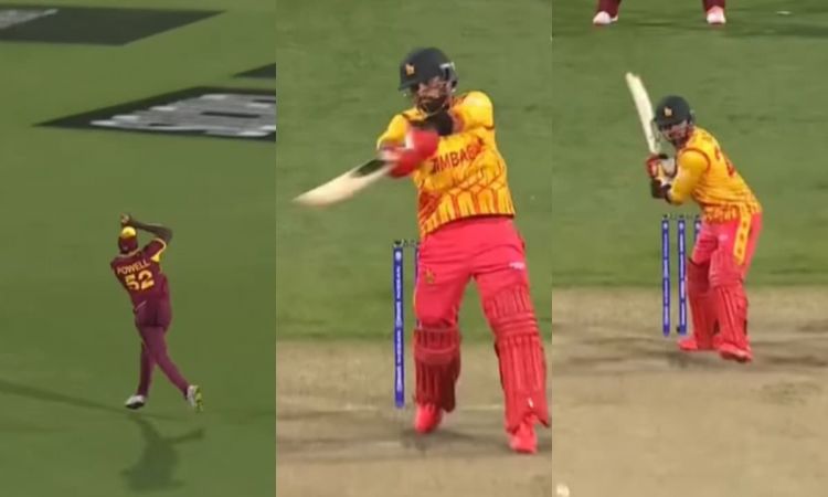 Cricket Image for ओडियन स्मिथ ने हंसी आखिरी हंसी, सिकंदर रजा को आउट करके लिया बदला; देखें VIDEO
