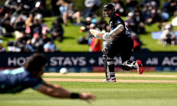 Tri-Series Final: Williamson's Leads Takes New Zealand To A Defendable Total Of 163 Runs