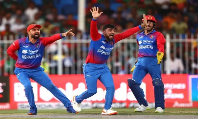 T20 World Cup: Afghanistan Wins The Toss And Opts To Bowl First Against Australia