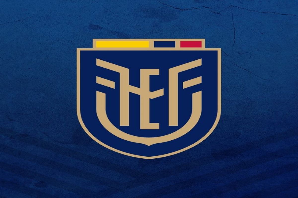 Ecuador seeking best ever World Cup showing: Alfaro. Ecuador seeking best ever World Cup showing: Alfaro.