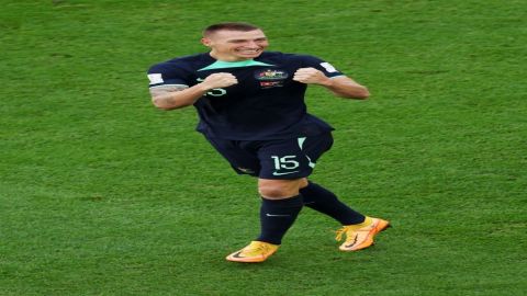 FIFA World Cup: Duke's goal gives Australia full points against Tunisia