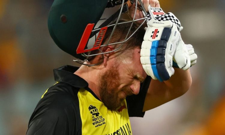 Cricket Image for T20 WC: Chris Lynn Wants Aussie Fans To Back Skipper Aaron Finch