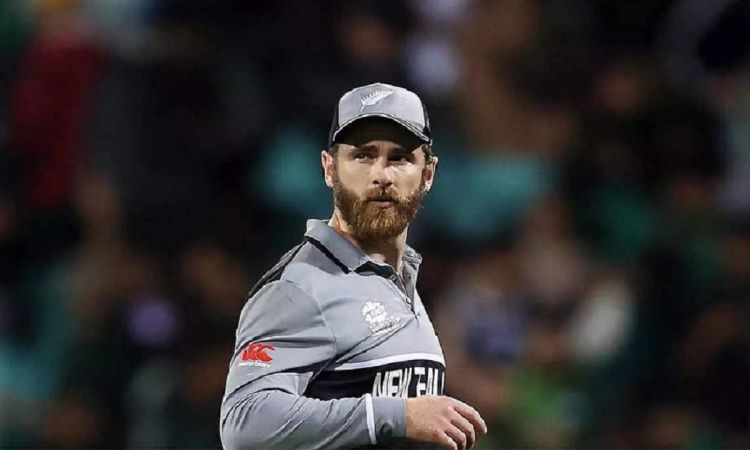 Cricket Image for T20 WC: Skipper Williamson Frustrated After New Zealand Lost To Pakistan In The Se