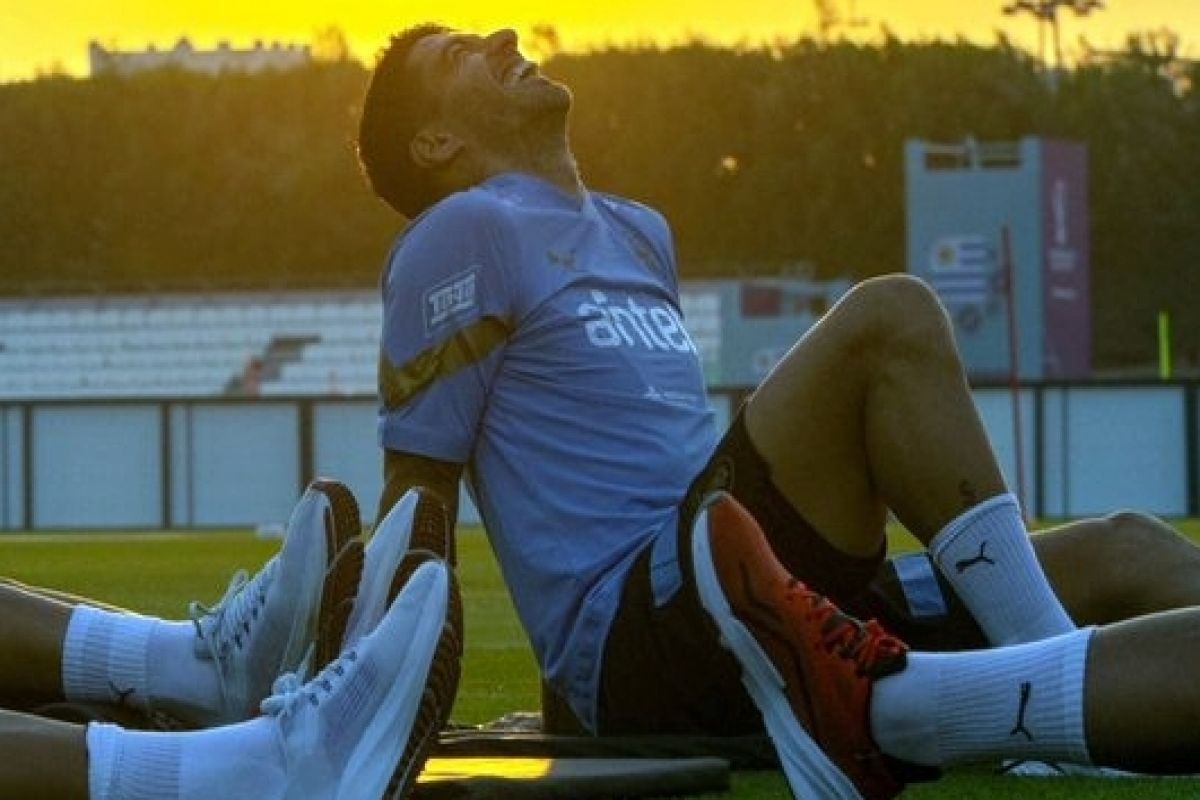 Suarez Is Ready For World Cup Match, Says Uruguay Coach Alonso On
