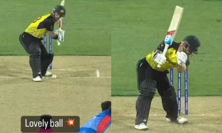 Cricket Image for VIDEO: 'Perfect Yorker', उड़ गए मैथ्यू वेड के होश; पलक झपकते ही बेल्स ले उड़ी गेंद
