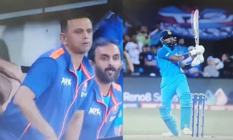 Watch Rahul Dravid Reaction On Hardik Pandya Shot Eng Vs Ind 2022 In