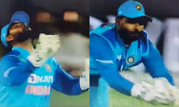 Cricket Image for VIDEO: ऋषभ पंत ने डाइव मारकर पकड़ा कैच, ट्रोलर्स को दिया फिटनेस का सबूत