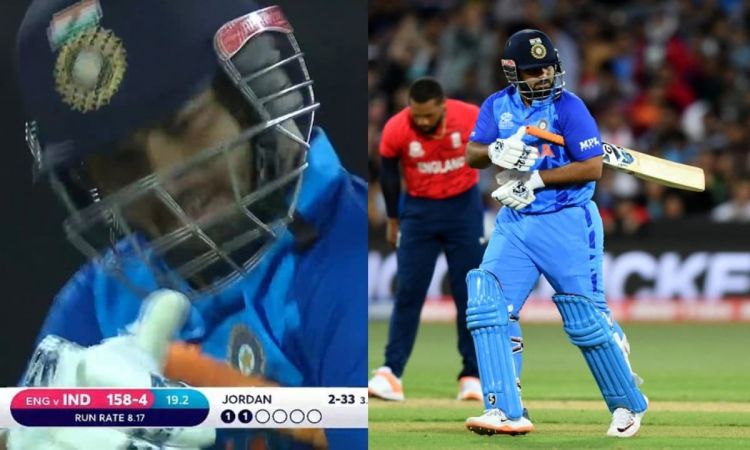 Cricket Image for VIDEO:  'खुद को पीछे, टीम को आगे रखते हैं पंत', Out होकर हार्दिक को किया Thumbs Up