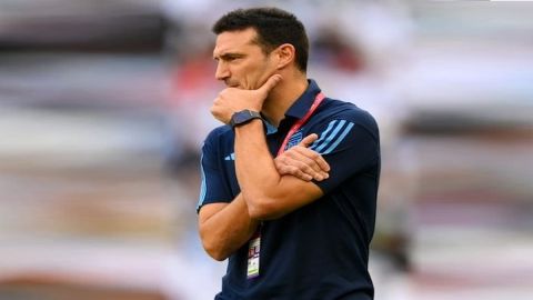 We have to pick ourselves up, says Argentina boss Scaloni