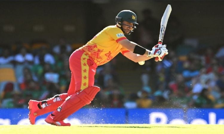 T20 World Cup: Zimbabwe Wins The Toss And Elects To Bat First Against Netherlands