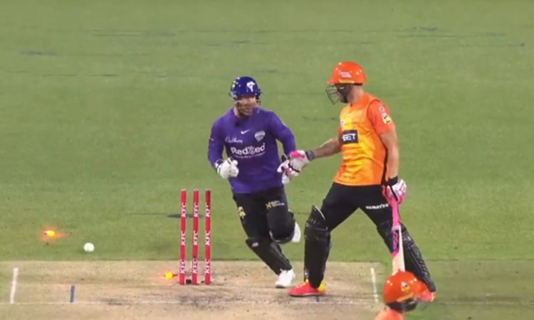 Cricket Image for Big Bash League Faf Du Plessis Angry Because Of Matthew Wade