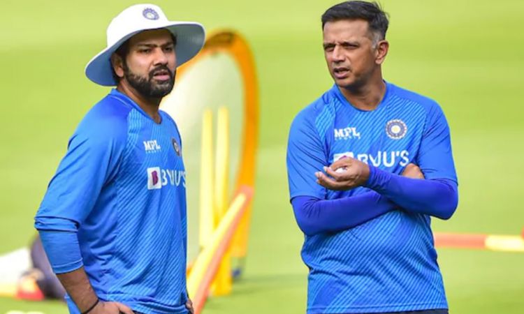 Cricket Image for Reports Rahul Dravid and Rohit Sharma can be sacked 