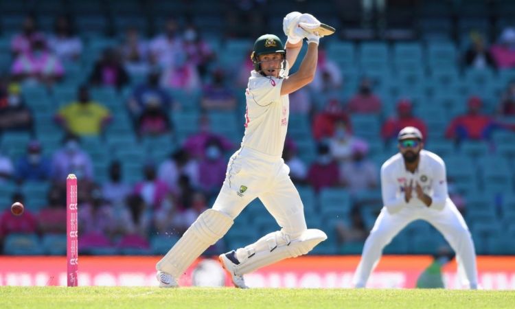 Marnus Labuschagne admits pitch at The Gabba was not up to Test cricket standard