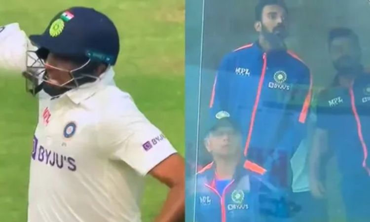 Cricket Image for VIDEO : जीत के बाद अश्विन ने लगाई दहाड़, कोहली-द्रविड़ ने ऐसे मनाया गया ड्रेसिंग र
