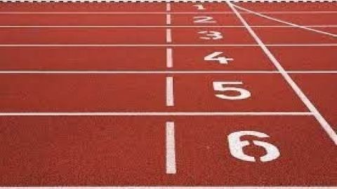 'One athletics facility for 1,52,537 children': Sports Researcher seeks LG's intervention for improv