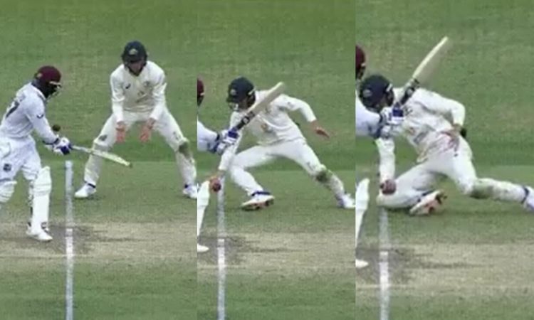 Cricket Image for VIDEO: 3D प्लेयर मार्नस लाबुशेन, फील्डिंग देखकर उड़ेंगे होश; पलकते झपकते ही पकड़ा 