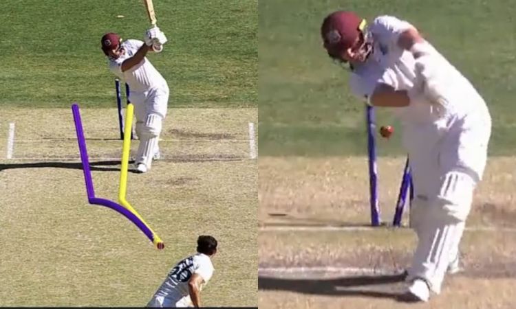 Cricket Image for VIDEO: मिचेल स्टार्क स्पेशल, रफ्तार संग हिलाई गेंद; बल्लेबाज़ हुआ हैरान यूं बिखर ग