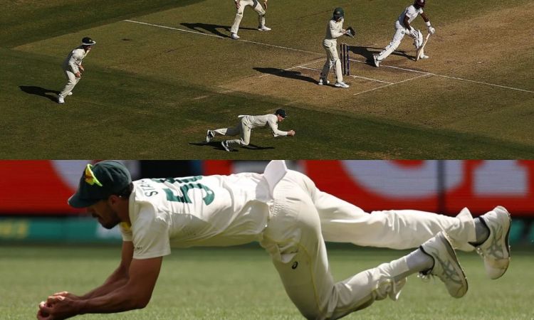 WATCH: Best Catches From Australia vs West Indies 1st Test