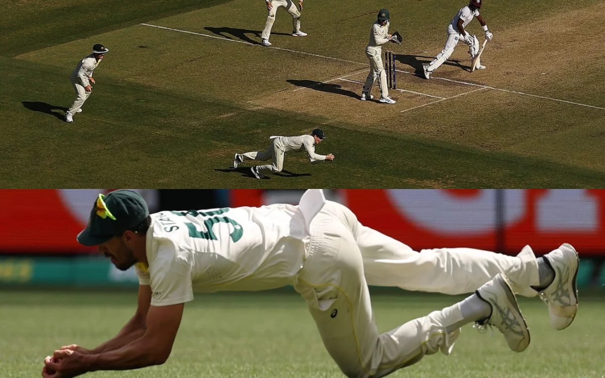 WATCH Best Catches From Australia vs West Indies 1st Test