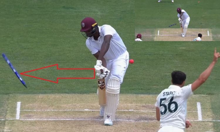 Cricket Image for हवा में नाची स्टंप, पिंक बॉल से मिचेल स्टार्क ने दिखाया जादू; देखें VIDEO