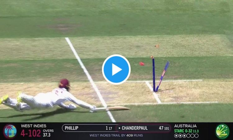 Cricket Image for VIDEO: तेजनारायण चंद्रपॉल साबित हुए धीमे, मिचेल स्टार्क के सामने अपने पैर पर मार ब