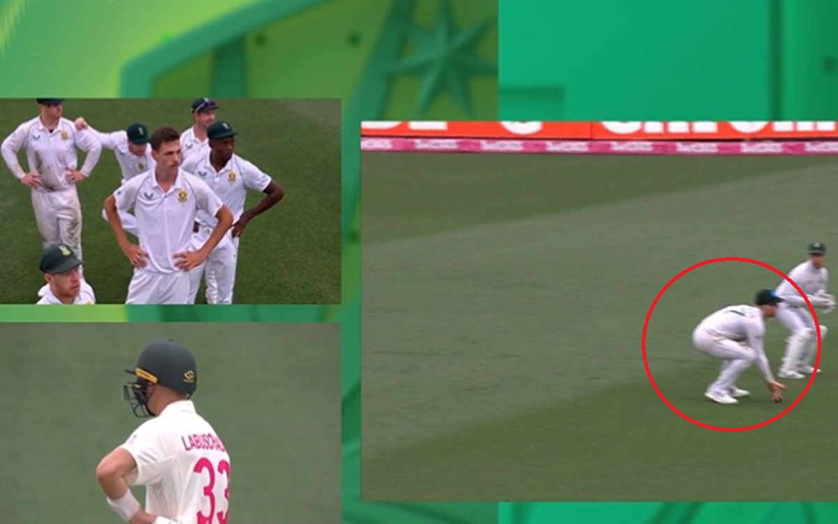 Cricket Image for Aus Vs Sa Controversy Over An On Field Catch Watch Video