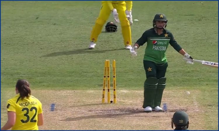 Cricket Image for 'आउट या नॉट आउट', पाकिस्तानी खिलाड़ी की हरकत पर मच गया बवाल; देखें VIDEO