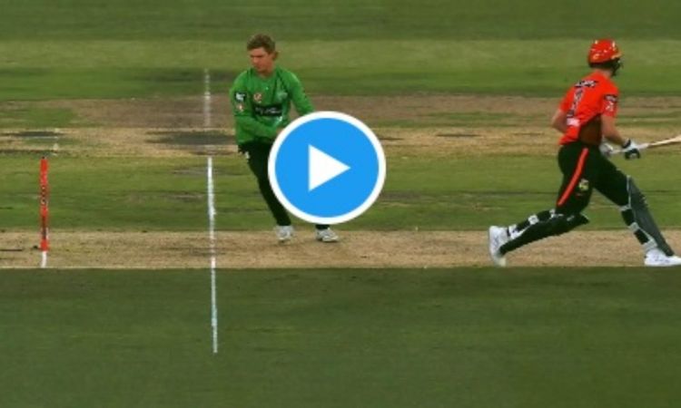 Cricket Image for VIDEO : एडम जैम्पा ने किया बीबीएल में 'Mankad', लेकिन थर्ड अंपायर ने इस वजह से दिय