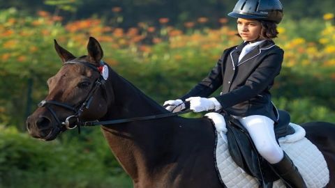 Amateur Rider's Club to host National Dressage competition for Asian Games selection