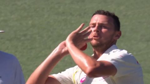 Cricket Image for Josh Hazlewood Reverse Swing Dismissed Heinrich Klaasen