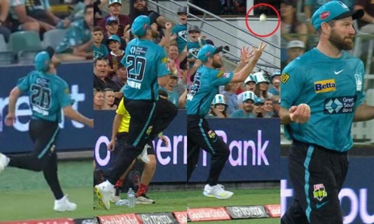 Cricket Image for VIDEO : माइकल नीसर ने पकड़ा चमत्कारिक कैच, लेकिन आउट दिए जाने पर मच गया है बवाल