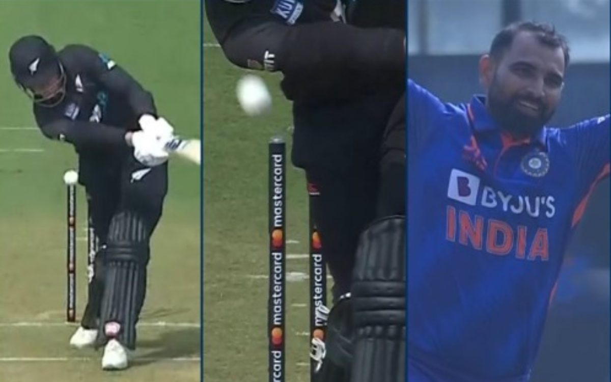 Cricket Image for VIDEO : फिन एलेन हुए चारों खाने चित्त, मोहम्मद शमी ने इनस्विंगर से किया काम तमाम