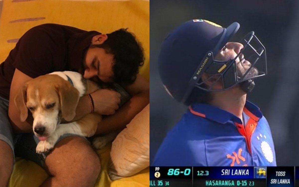 Cricket Image for VIDEO : रोहित शर्मा हुए इमोशनल, अपने कुत्ते को कुछ ऐसे समर्पित की हाफ सेंचुरी